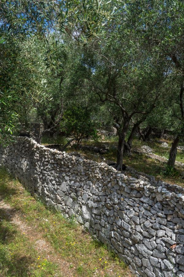 Villa Elaia Suites & Apartments No.5 Γάιος Εξωτερικό φωτογραφία