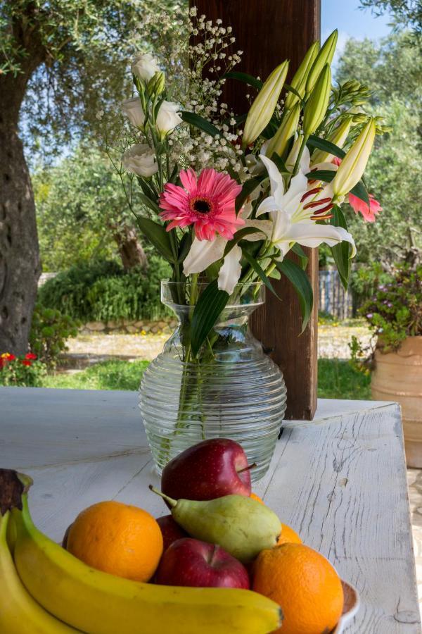 Villa Elaia Suites & Apartments No.5 Γάιος Εξωτερικό φωτογραφία